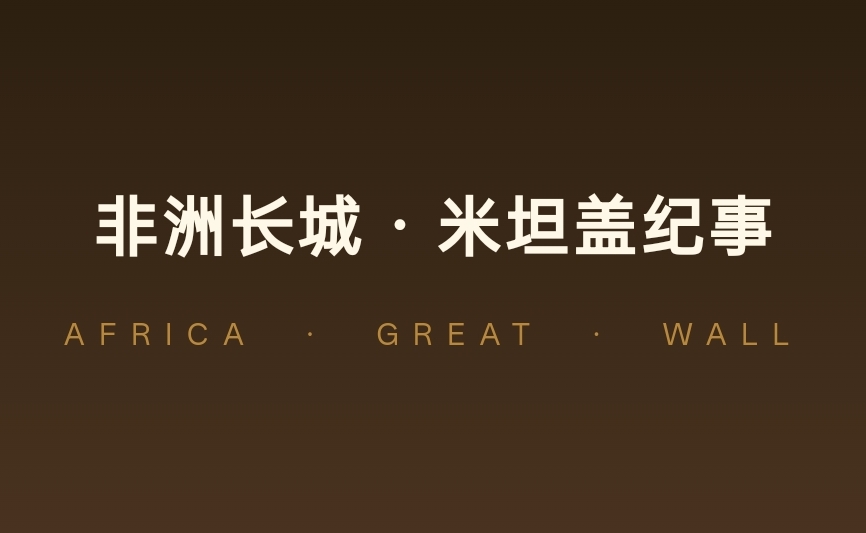 非洲长城 &middot; 米坦盖纪事